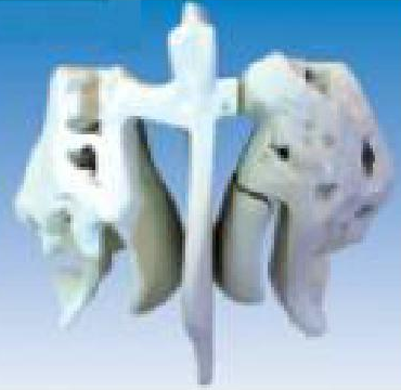 康人篩骨放大模型KAR/11121 康人篩骨放大模型KAR/11121