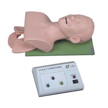 電子人體氣管插管訓練模型KAR/3