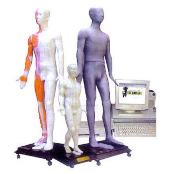 康人多媒體人體針灸穴位發(fā)光模型MAW-100E