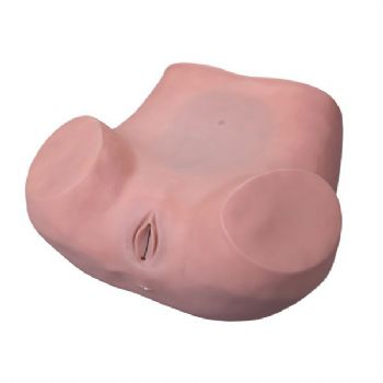 高級(jí)婦科訓(xùn)練模型KAR/6