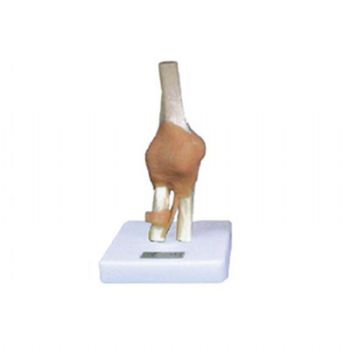 節(jié)功能模型KAR/11209-5