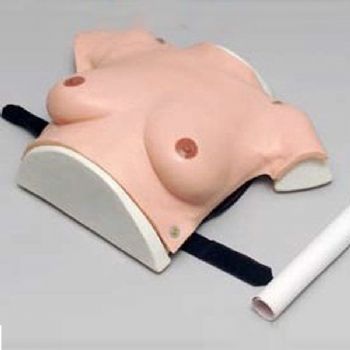 高級著裝式乳房自檢模型KAR/14B
