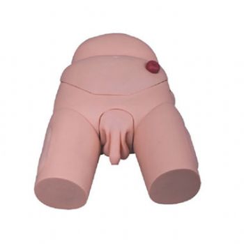 高級(jí)男性導(dǎo)尿模型KAR/D3