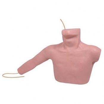  外周穿刺、中心靜脈穿刺插管模型KAR/L67A  