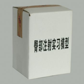臀部注射實習(xí)模型KAS-S14