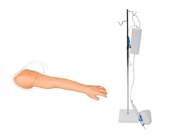 完整靜脈穿刺手臂模型KAR/S8
