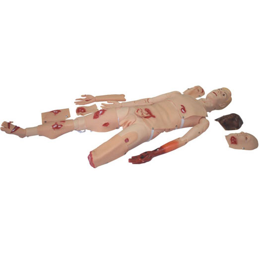 高級(jí)創(chuàng)傷模型KAS-110