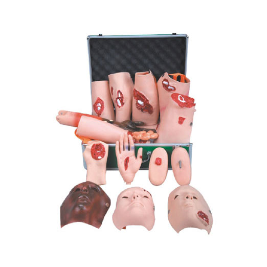 高級(jí)創(chuàng)傷評(píng)估模塊KAS-110-16