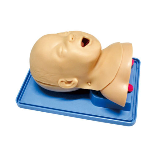 高級(jí)嬰兒氣管插管訓(xùn)練模型KAS-15-2