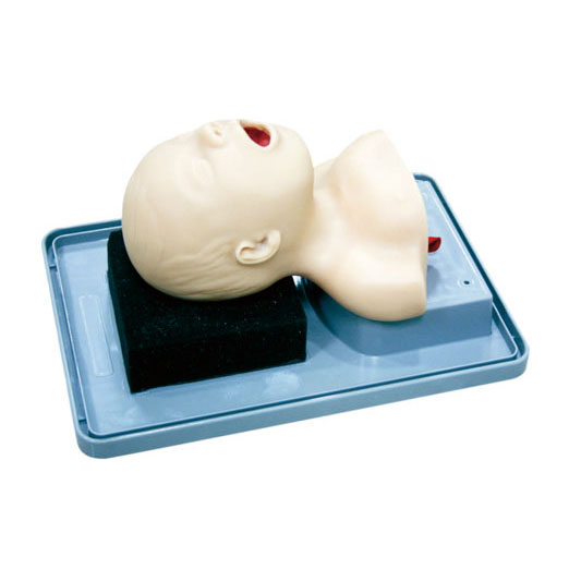 新生兒氣管插管訓(xùn)練模型KAS-15-1
