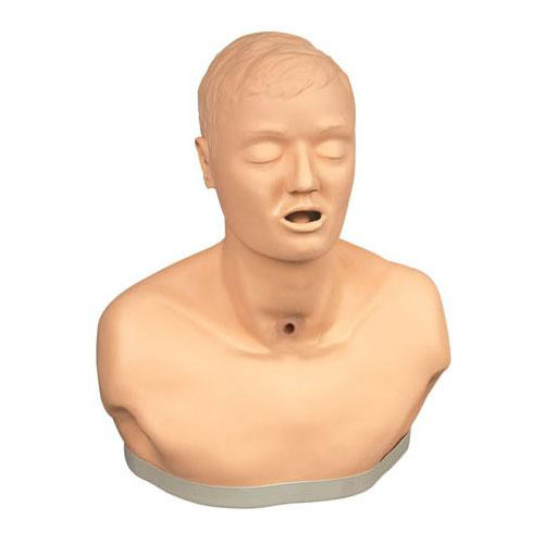 高級成人氣管切開護(hù)理模型KAS-H23