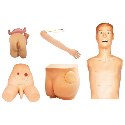 高級新型基礎(chǔ)護(hù)理實習(xí)操作模型(七部件)KAS-27