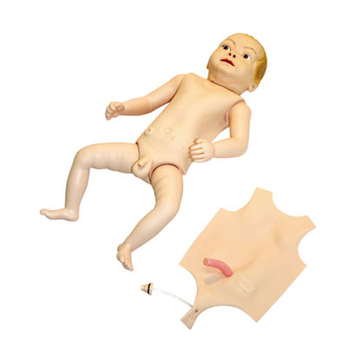 高級(jí)嬰兒護(hù)理人模型KAS-130