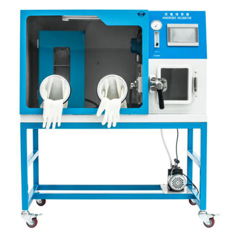 創(chuàng)凱翼厭氧培養(yǎng)箱KYA-3