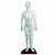 人體針灸模型50cm 男性