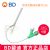 BD 碧迪靜脈留置針18G Y型 密閉式 貨號(hào)383405
