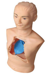 益聯(lián) 高級(jí)新型基礎(chǔ)護(hù)理實(shí)習(xí)操作模型 KAS-27 益聯(lián) 高級(jí)新型基礎(chǔ)護(hù)理實(shí)習(xí)操作模型 KAS-27