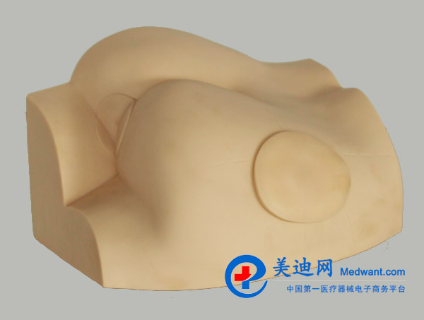 益聯(lián) 臀部注射實習(xí)模型 KAS-S14 益聯(lián) 臀部注射實習(xí)模型 KAS-S14