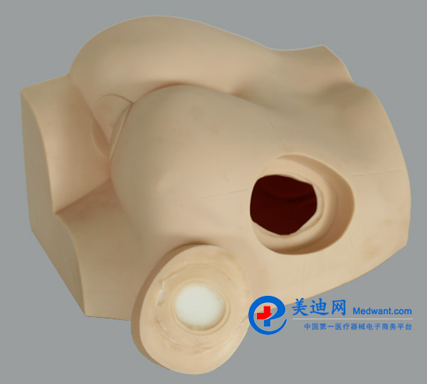 益聯(lián) 臀部注射實習(xí)模型 KAS-S14 益聯(lián) 臀部注射實習(xí)模型 KAS-S14