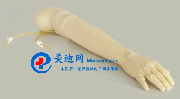 益聯(lián) 高級靜脈穿刺及肌肉注射手臂模型 KAS-S2 益聯(lián) 高級靜脈穿刺及肌肉注射手臂模型 KAS-S2
